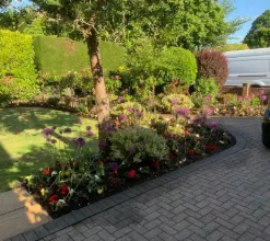 garden 12