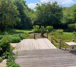 garden 13
