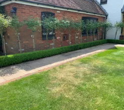garden 14