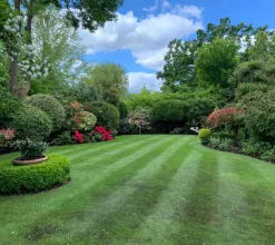 garden 16