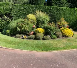 garden 18