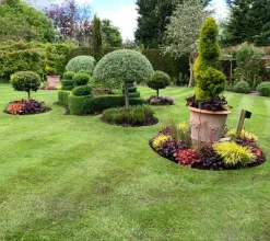 garden 20
