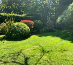 garden 21