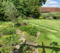 garden 2