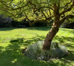 garden 23