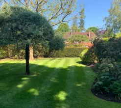 garden 24
