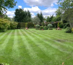 garden 25