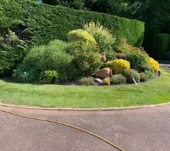 garden 7