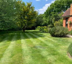 garden 9