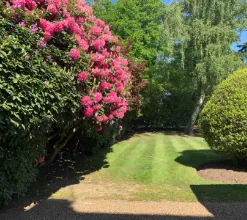 garden 10