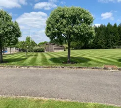 garden 11